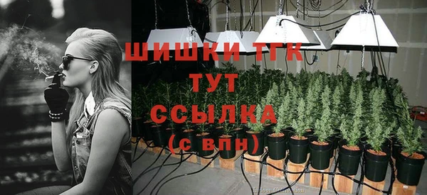 эйфоретик Краснослободск