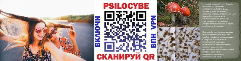 Галлюциногенные грибы мухоморы  Купить  Байкальск 